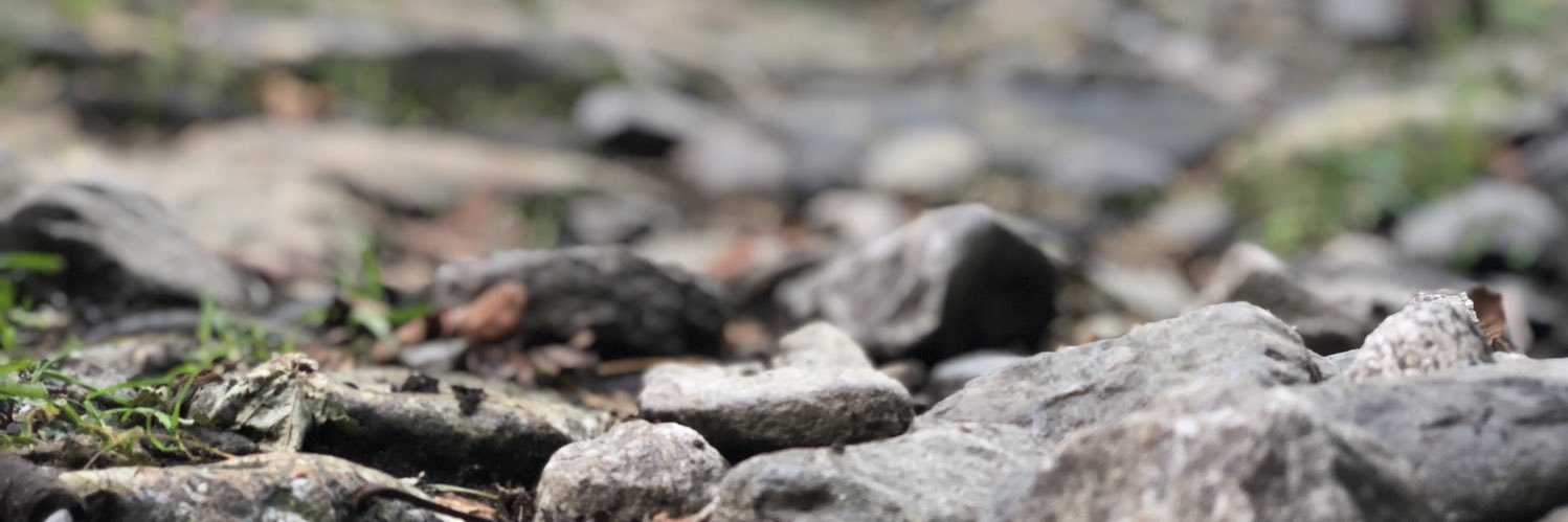 josemoralessbd's profile banner image