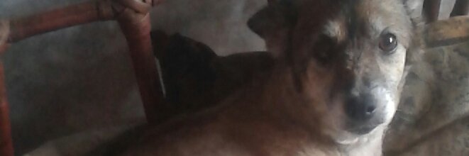 SanSandyrosel's profile banner image