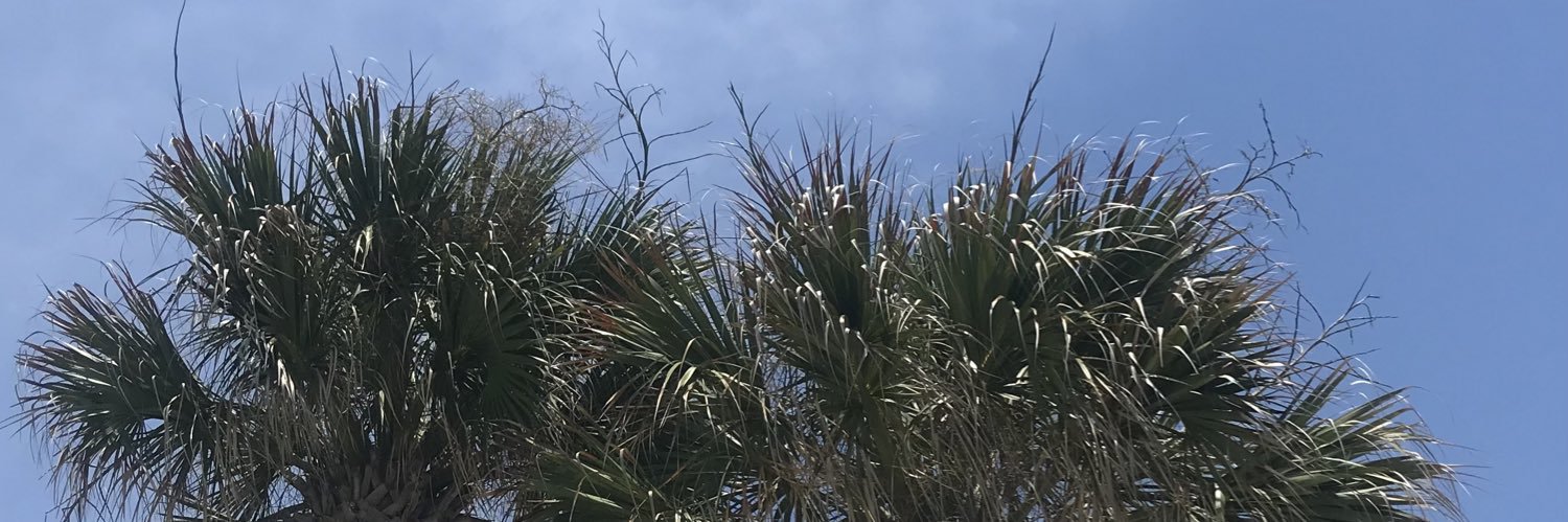 bateskatie's profile banner image