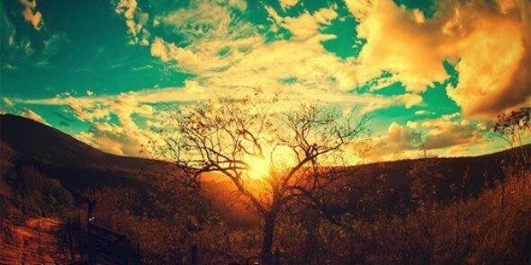 _aalineess's profile banner image