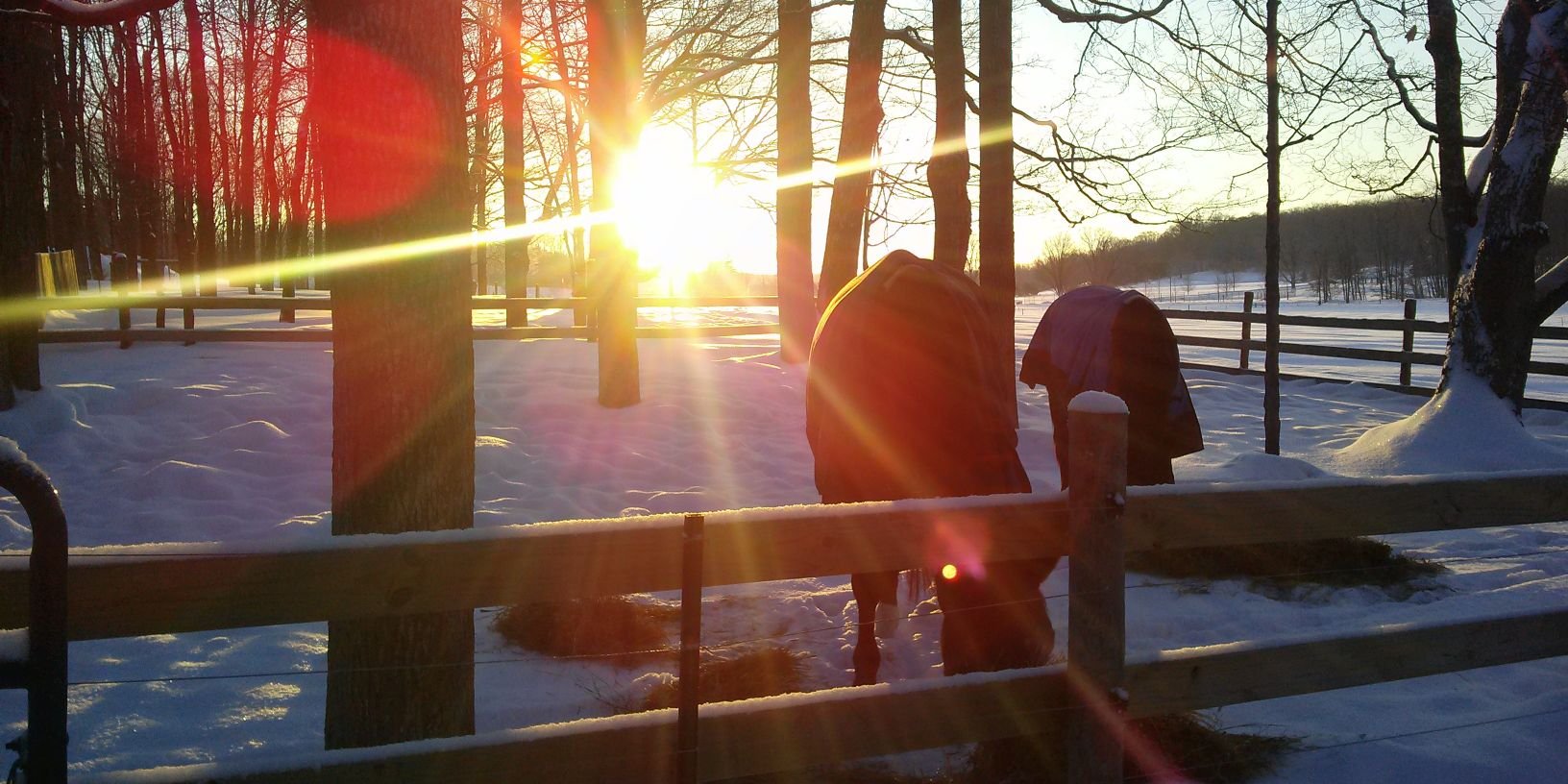 mollydunn01's profile banner image