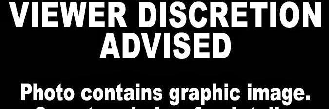 Discreet Me banner