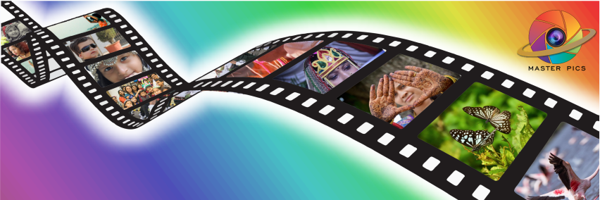 MasterPicsin's profile banner image