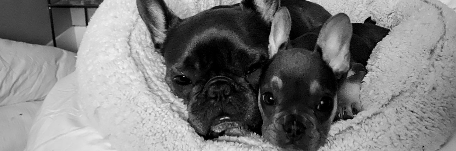 emilaumannutley's profile banner image