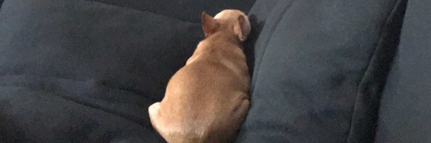 mangograhamx's profile banner image