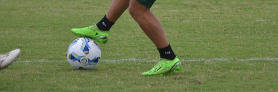 diegopazzelli8's profile banner image