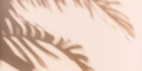 MeganMae12's profile banner image