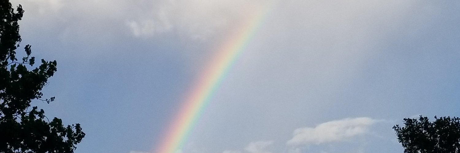 8ravenwaves8's profile banner image