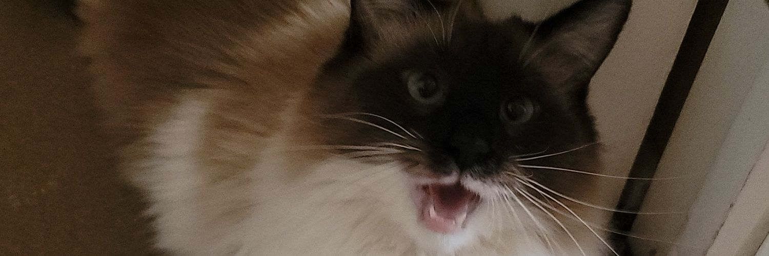 ZibeXY's profile banner image