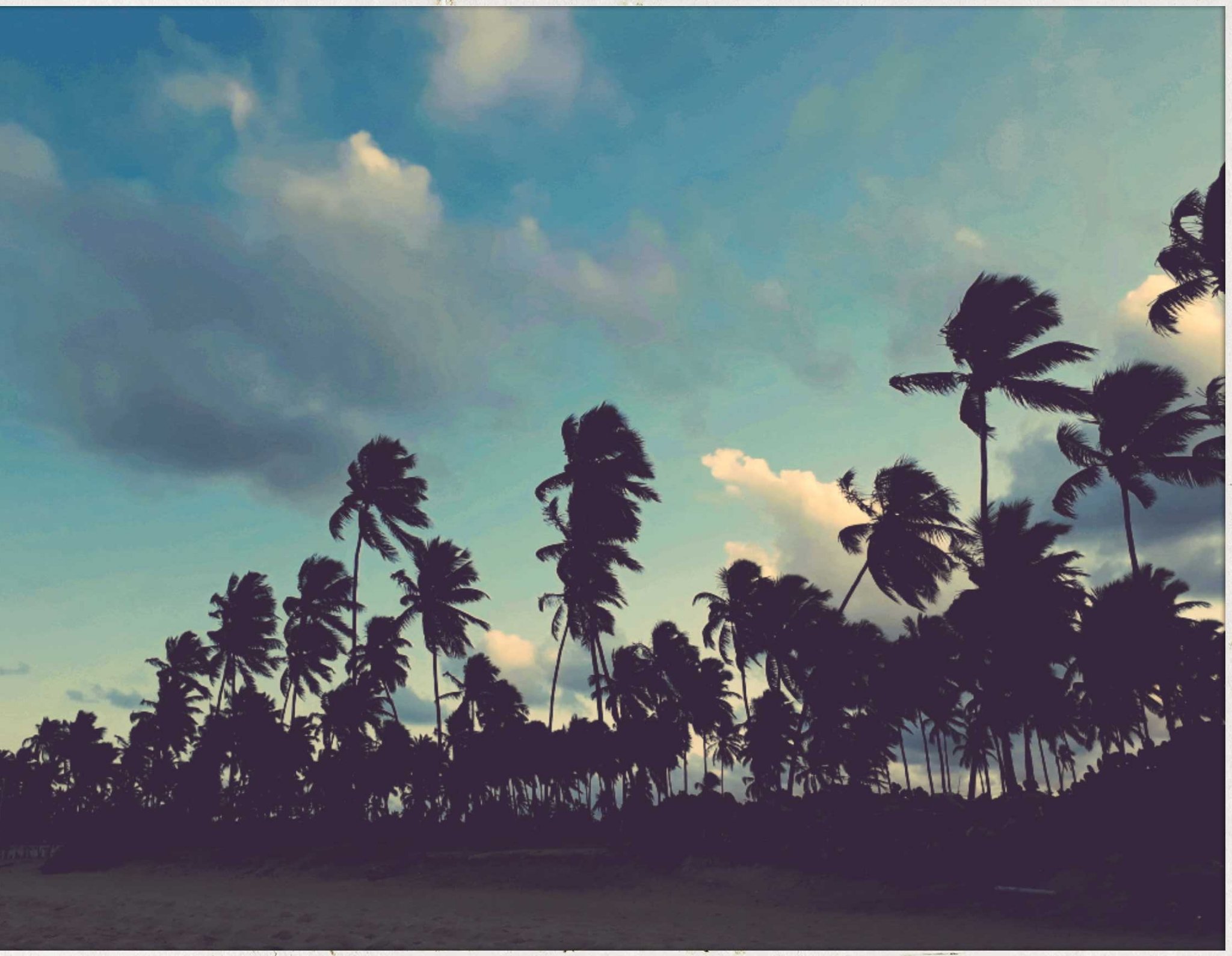 Go_Josefina's profile banner image