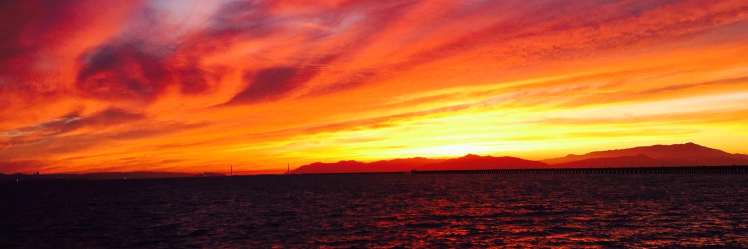 Laurel Larsen banner