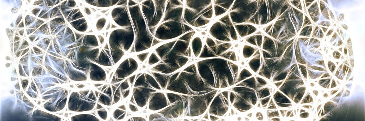 Elizabeth Haris banner