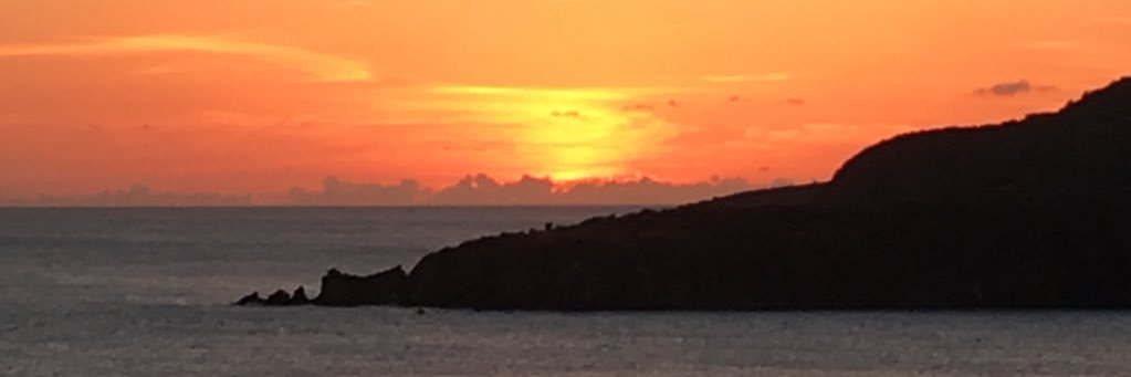 1976penguinfan's profile banner image