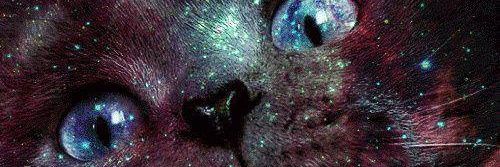laura_lu17's profile banner image
