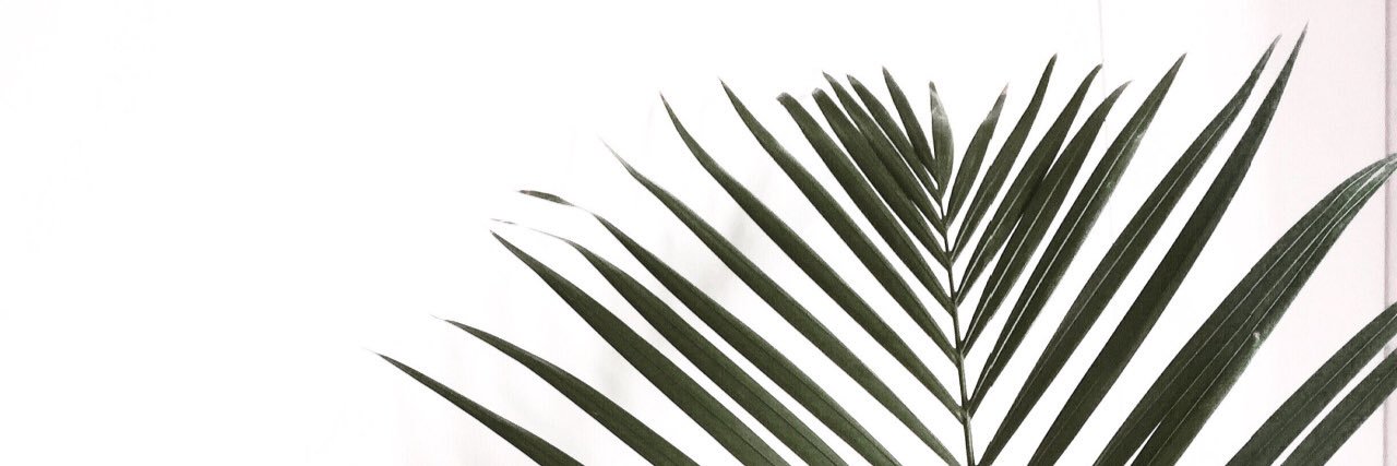 Alex Prisk banner