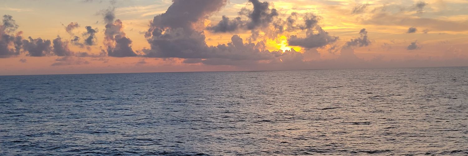 Radfrdlisa's profile banner image