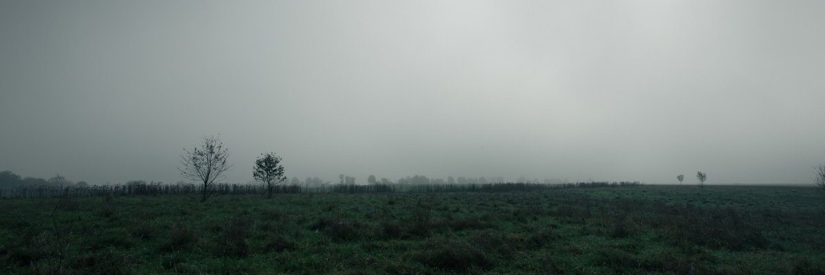 nice_guy98's profile banner image