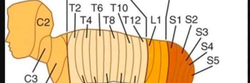 car13s's profile banner image