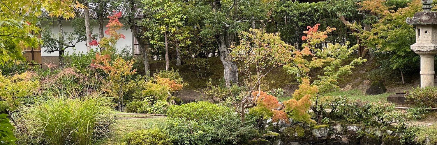 Risu 🐿️ banner