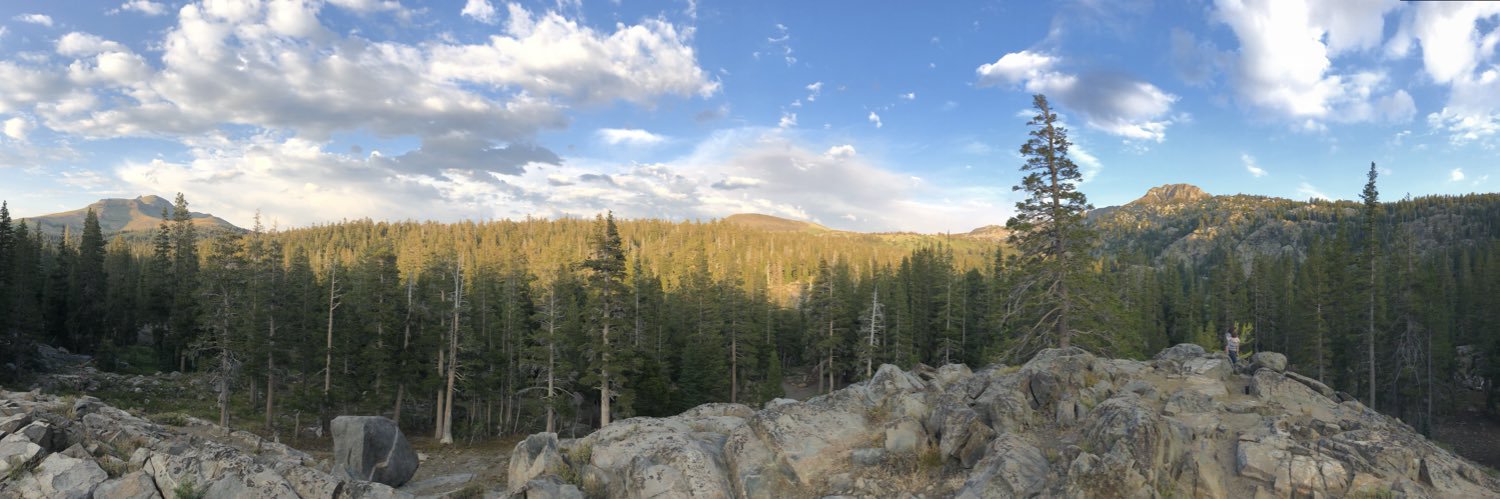 FeelingBetter banner