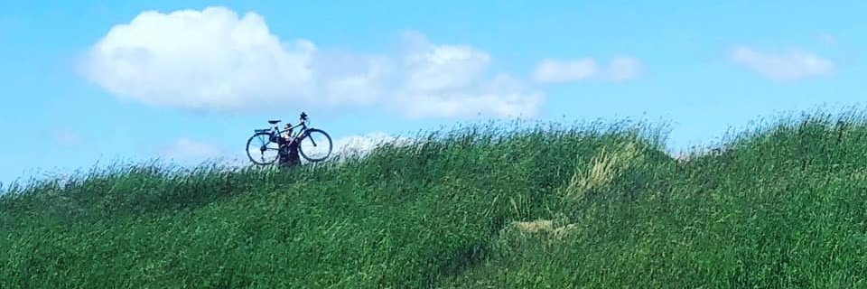 jenniferleecox's profile banner image