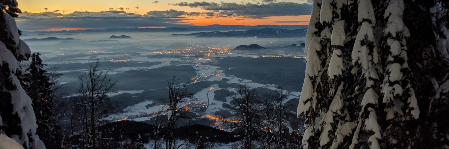 Vid Visočnik banner