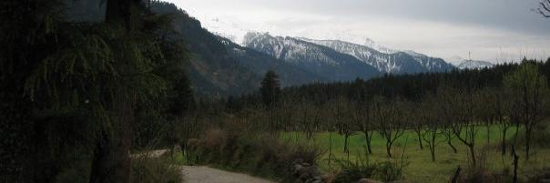 Old_Manali's profile banner image