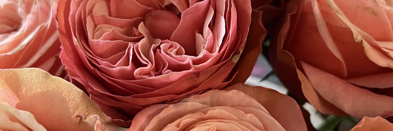 desiidelight's profile banner image