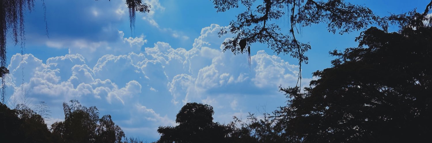 acidvenus__'s profile banner image