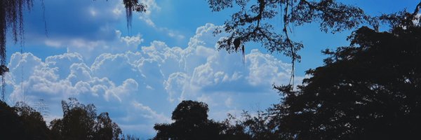 acidvenus__ Profile Banner