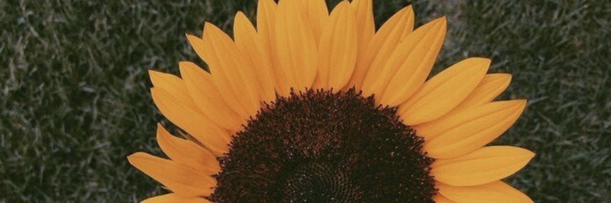 ashlynball94's profile banner image