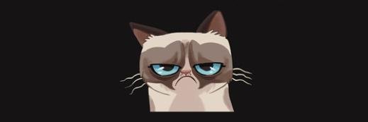 angrycatsmind's profile banner image