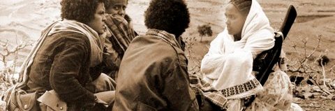 Moose_Yeah's profile banner image