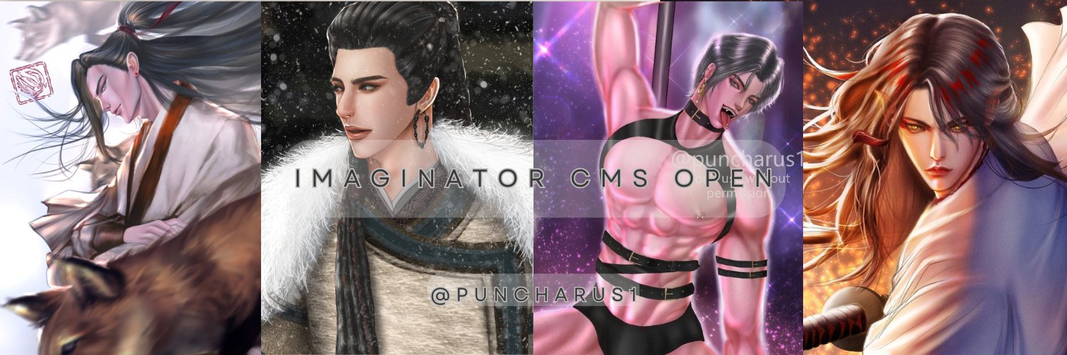 puncharus1's profile banner image