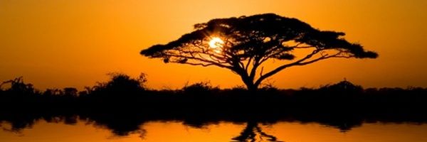 dambre0502's profile banner image