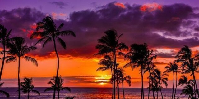 Raspy_Noises's profile banner image