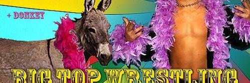 PlusDonkey banner