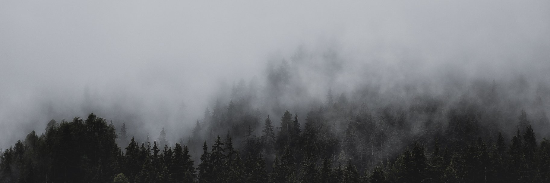 JayOhEn's profile banner image