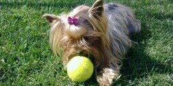 CacoCostas's profile banner image