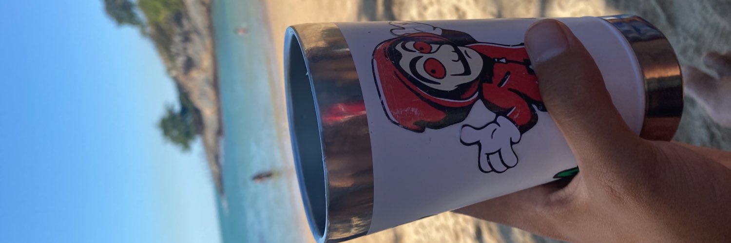 raphaelsantoosr's profile banner image