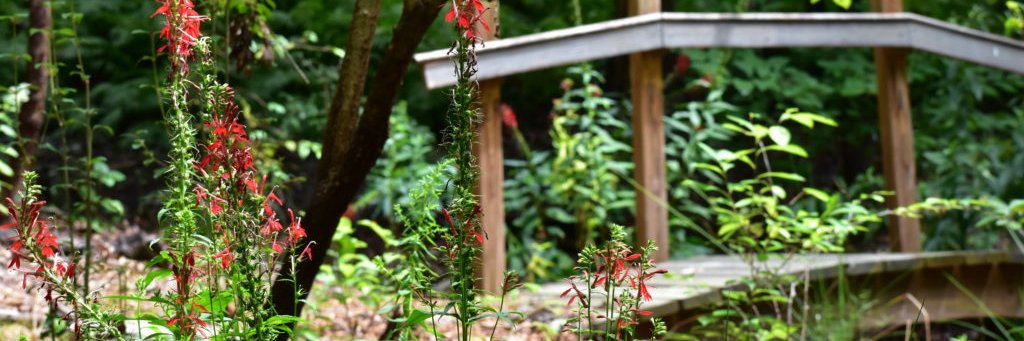 River Road UUC banner