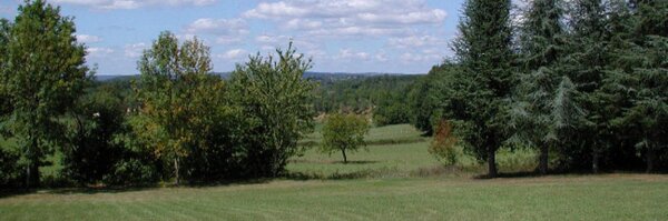 LSchonder Profile Banner