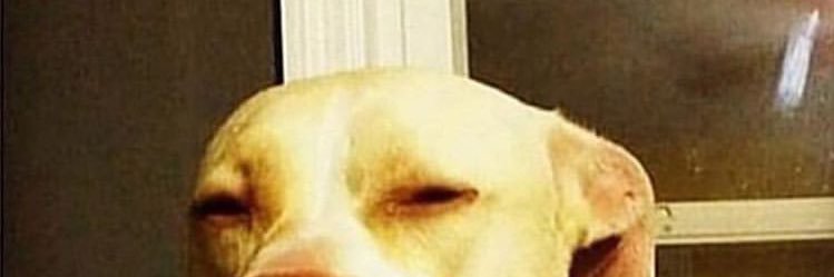 R3y_Mia's profile banner image