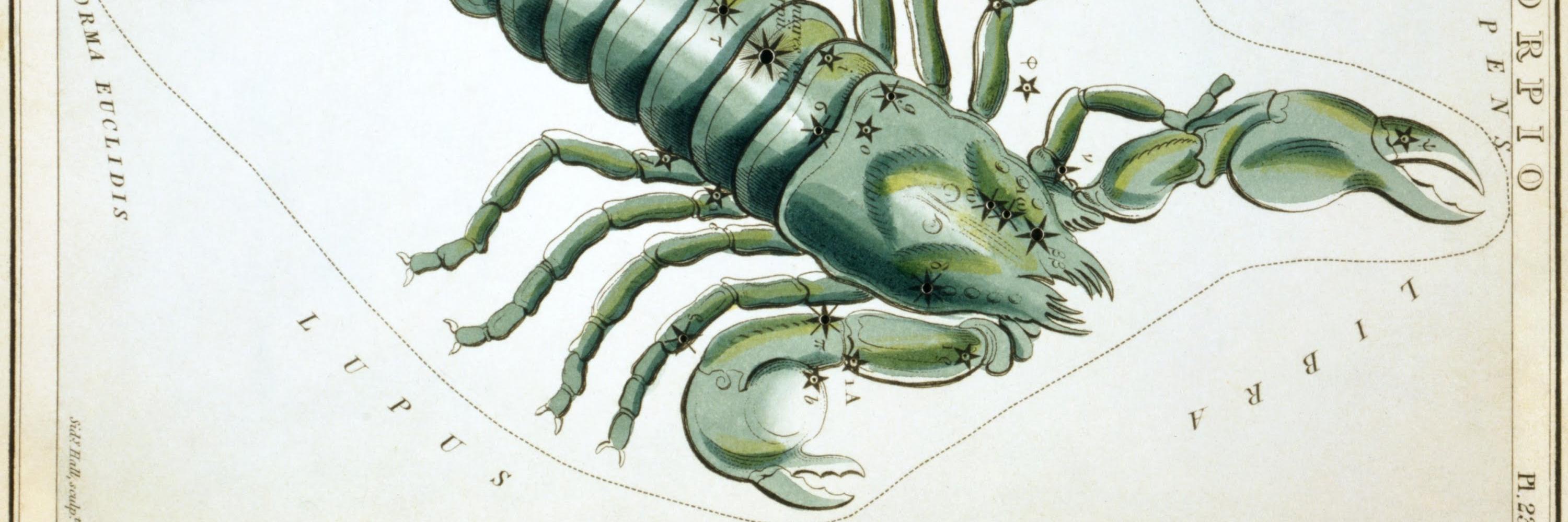 scorpio3355's profile banner image