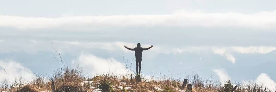 chepichep's profile banner image