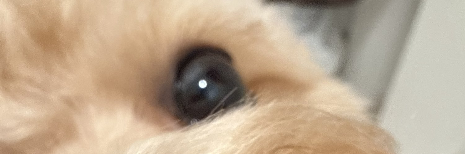 genessissss's profile banner image