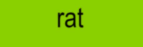 readysteadyslay's profile banner image