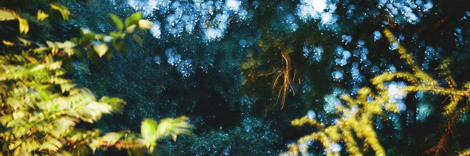 itscailtin's profile banner image