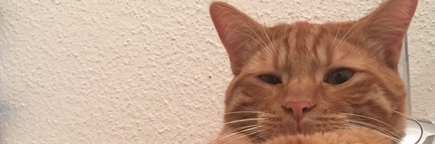 ____foudecoco__'s profile banner image