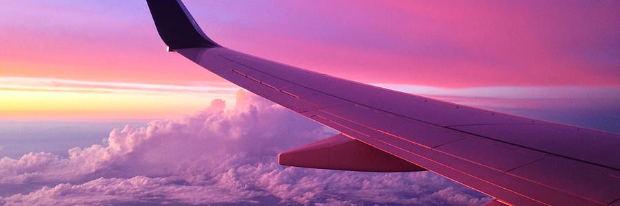 MaiaRodriguezM's profile banner image